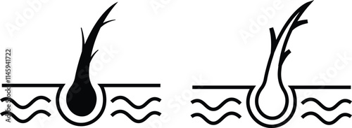 Hair follicle cosmetic line and flat icon set. Vector include skincare frizzy repair revitalizing scalp dandruff follicle outline pictogram for trichology collection isolated on transparent background