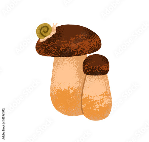 Porcini mushrooms. Fall forest food, fungi with snail. Boletus, small and big fungus. Natural autumn seasonal decoration. Botanical flat graphic vector illustration isolated on white background