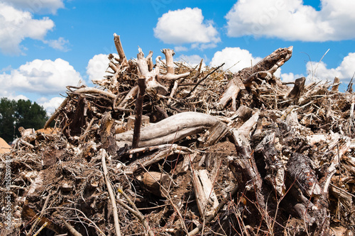 The photo shows a mountain of tree roots, branches and wood waste, and a blue sky and clouds in the background photo