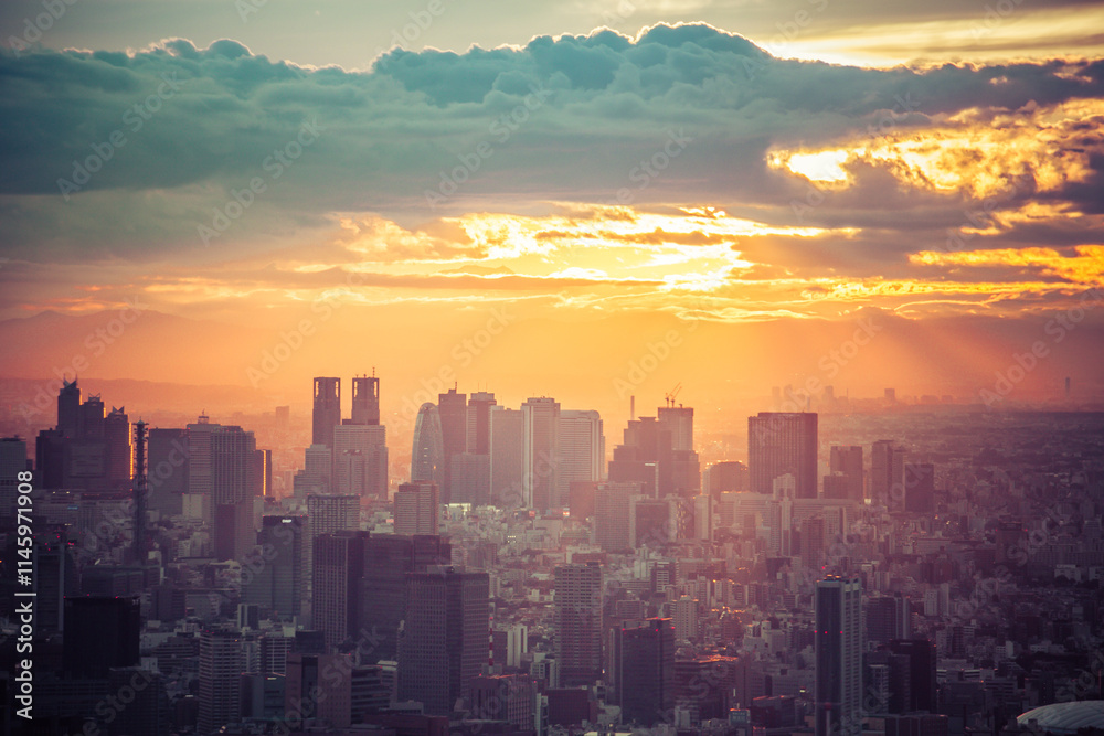 Fototapeta premium Tokyo