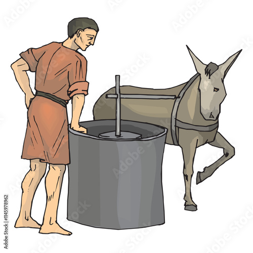 Donkey or mule carrying agave pina heart or pineapple, pulling tahona stone mill wheel.