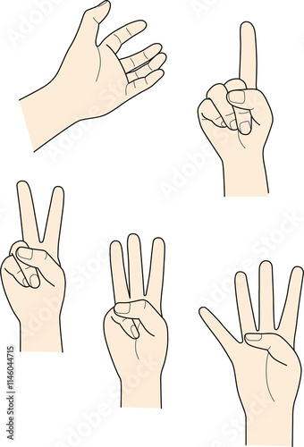 hand_21-25_colour