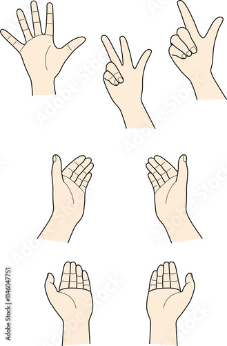 hand_26-30_colour