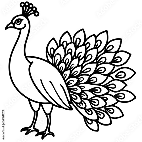 Cute Peacock Silhouette line art black vector illustration