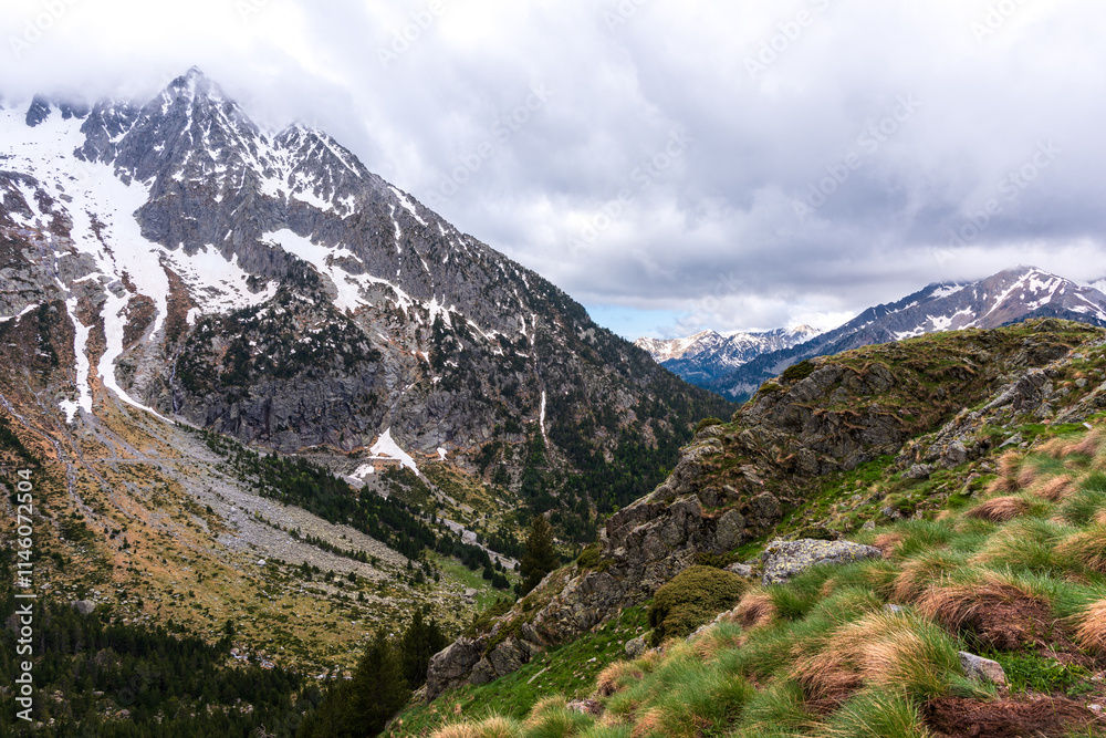 Fototapeta premium Paisaje alpino con montañas nevadas, cielo nublado y laderas verdes en primavera. Escenario natural impresionante y sereno. GR11, Lleida