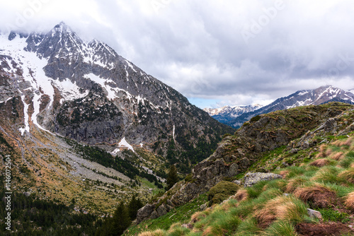 Paisaje alpino con montañas nevadas, cielo nublado y laderas verdes en primavera. Escenario natural impresionante y sereno. GR11, Lleida photo