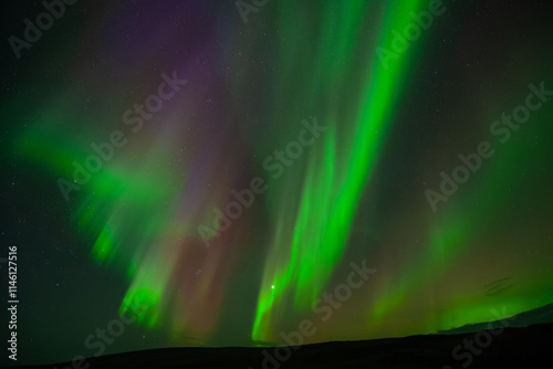 Aurora Borealis in Norwegen beim Arctic Circle Centre , 66° 33′ 55″ , Saltfjellveien Storforshei. photo