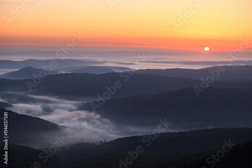 Fototapeta Naklejka Na Ścianę i Meble -  fog in the mountain valley
