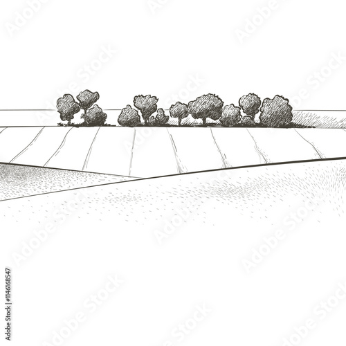 Green field landscape on small hill. Vector meadow grass, nature, pasturage, farm. Rural scenery landscape panorama of countryside pastures.