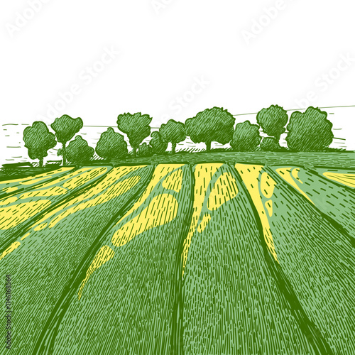 Green field landscape on small hill. Vector meadow grass, nature, pasturage, farm. Rural scenery landscape panorama of countryside pastures.
