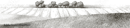 Green field landscape on small hill. Vector meadow grass, nature, pasturage, farm. Rural scenery landscape panorama of countryside pastures.