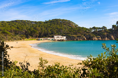 Playa del Castell con arena dorada, agua turquesa y rodeada de bosque mediterráneo.