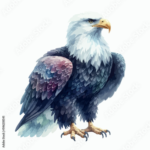 american bald eagle isolated