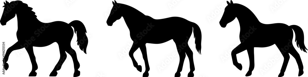 Obraz premium horse black silhouette vector logo