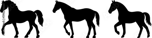 horse black silhouette vector logo
