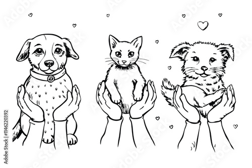 cats cute in love embracing each other, two happy animals hugging with hearts over their head vector Hand Drawn Illustration Isolated On Transparent Background