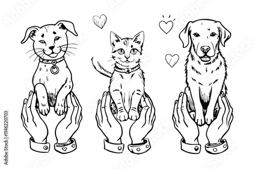 cats cute in love embracing each other, two happy animals hugging with hearts over their head vector Hand Drawn Illustration Isolated On Transparent Background