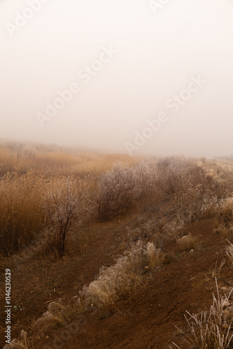 Obraz na płótnie landscape, tree, sky, nature, grass, field, autumn, ice, ice, forest, trees, spring, blue, meadow, winter, clouds, water, season, rural, countryside, road, birch, summer, yellow, cloud, park, dry w salonie
