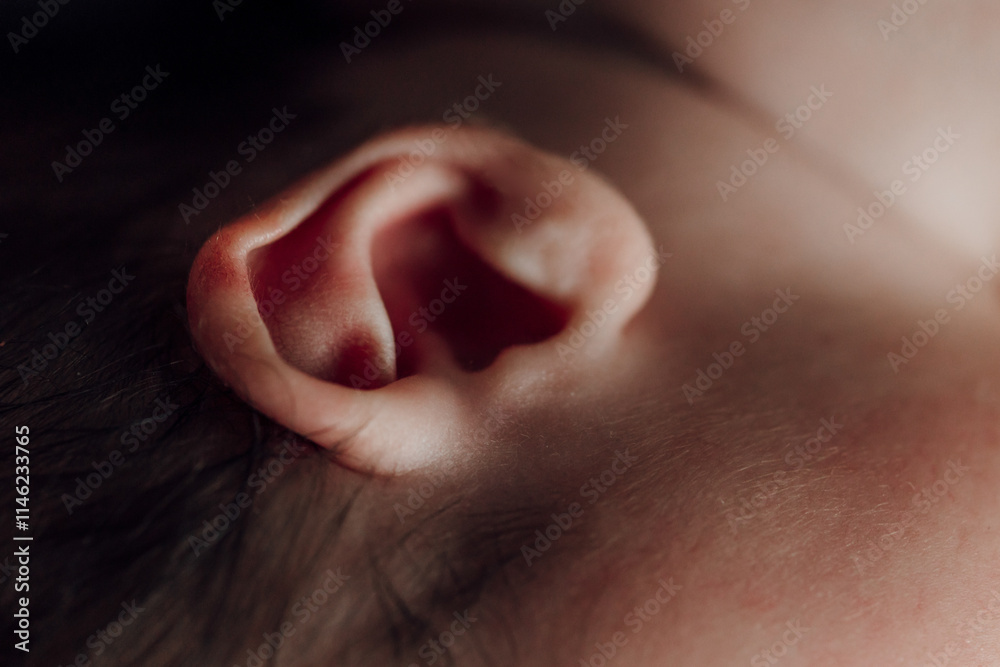 Fototapeta premium A baby's ear is shown in detail, with the image conveying a sense of intimacy and tenderness
