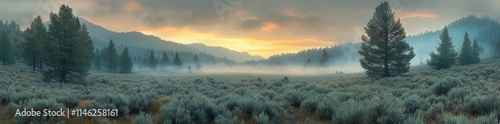 Panoramic View of Sagebrush and Forest Fire Smoke in the Distance