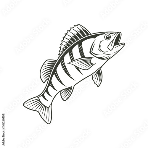 American Yellow Perch Fish Vector Art and Illustration