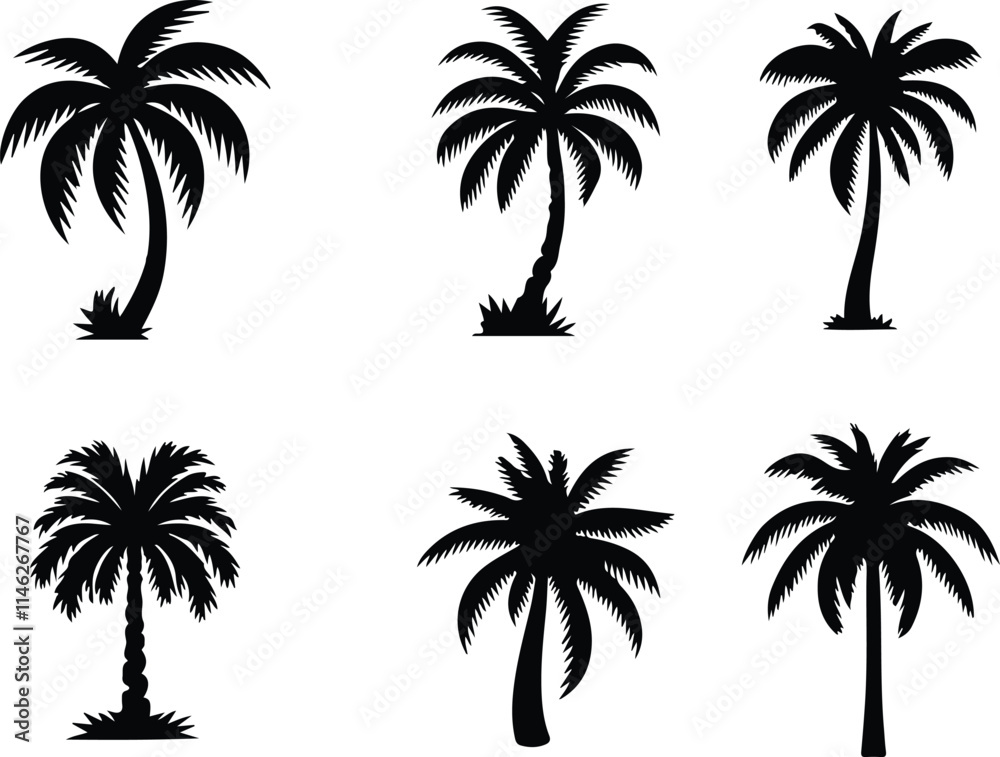 Palm tree icons set. Silhouette of palm tree vector icons