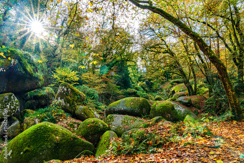 magische, mystische Stimmung im Zauberwald von Huelgoat (F, Bretagne, Finistère, Huelgoat) photo