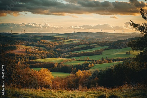 Expansive Rural Landscape with Turbines in Bright Daylight