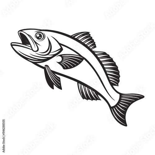 Atlantic Croaker Fish Vector Art and Illustration