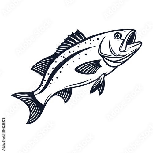 Atlantic Croaker Fish Vector Art and Illustration