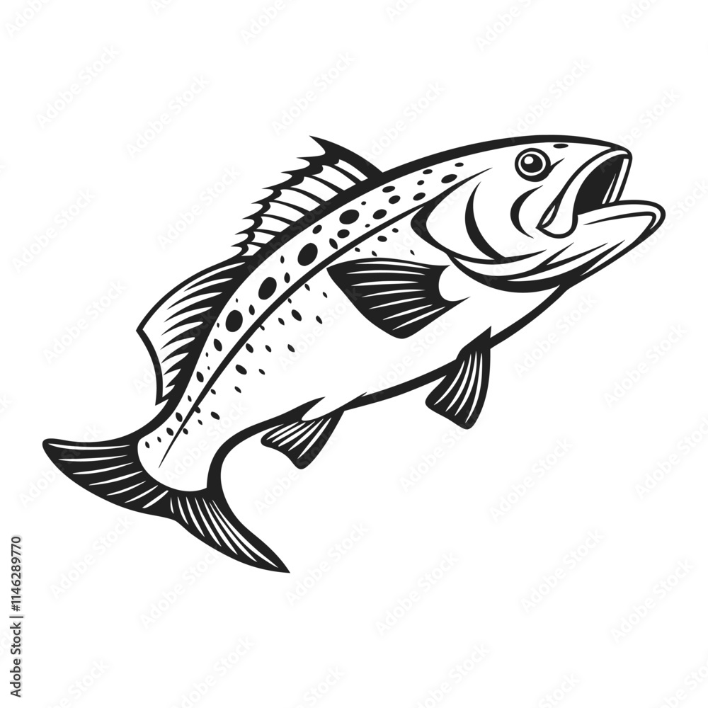 Fototapeta premium Atlantic Croaker Fish Vector Art and Illustration