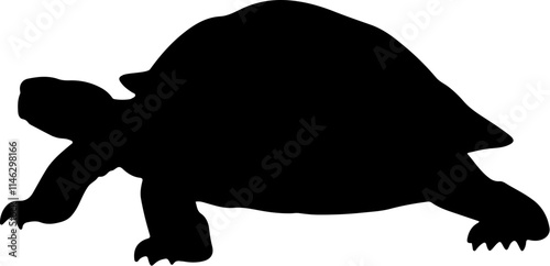 tortoise black silhouette vector logo