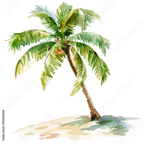 A watercolor vector of a coconut palm casting shade on the sand, isolated on a white background. Coconut palm sand vector.
