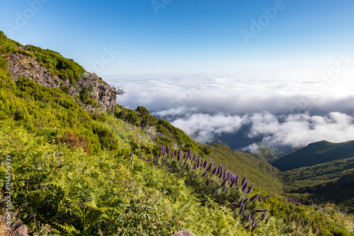 Panorama from the path of the vereda do Pico Ruivo in Madeira photo