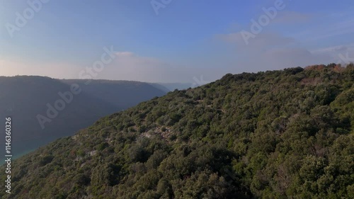 Drone View of Forested Hills and Lim Bay Fjord in Istria, Croatia