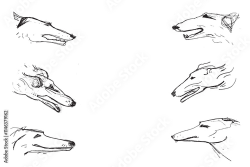 Hunting Sighthound dogs hand-drawn sketches - minimalist black ink drawing - Borzoi, hunting sighthound, whippet - linear vector illustrations. Dog breeding business concept. Banner template