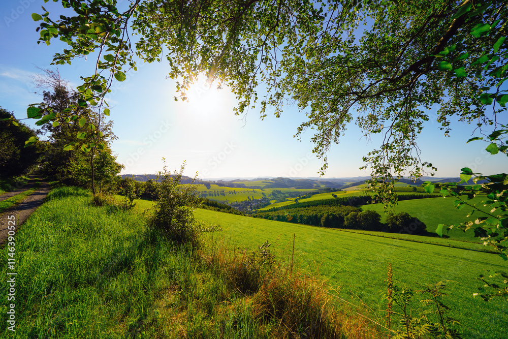Naklejka premium View of the green landscape near Oberhenneborn in the Sauerland. Hiking trails in nature.