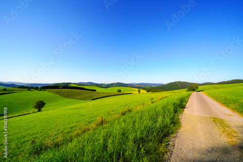 View of the green landscape near Oberhenneborn in the Sauerland. Hiking trails in nature.
 photo