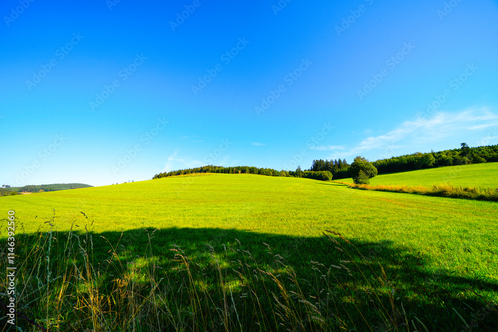 Fototapeta premium View of the green landscape near Oberhenneborn in the Sauerland. Hiking trails in nature.