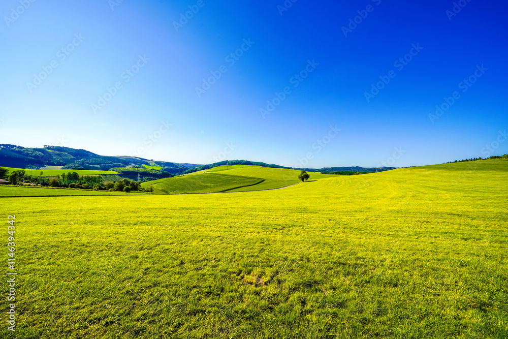 View of the green landscape near Oberhenneborn in the Sauerland. Hiking trails in nature.
View of the green landscape near Oberhenneborn in the Sauerland. Hiking trails in nature.