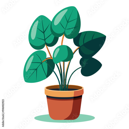Chinese money plant brings life and greenery to indoor spaces with its vibrant leaves