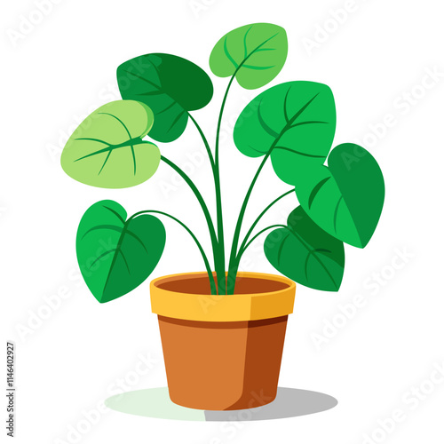 Chinese money plant in a brown pot displayed against a clean white background for indoor decor inspiration