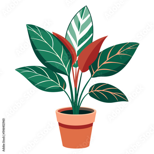 Bright ctenanthe plant with colorful leaves in a simple pot on a clean white background for indoor decor and nature lovers