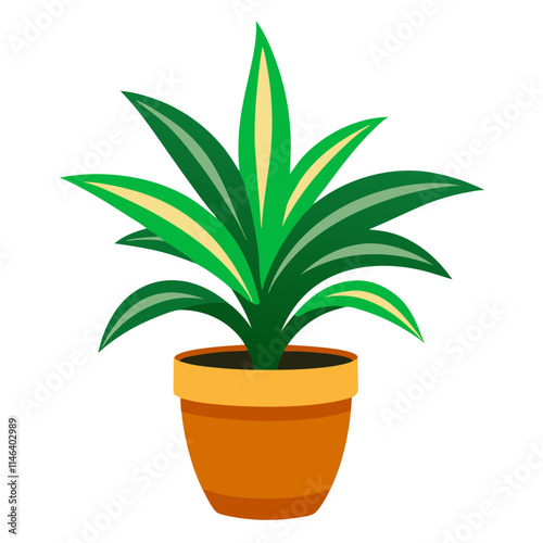 Potted dracaena plant showcasing vibrant green and yellow leaves against a bright white background