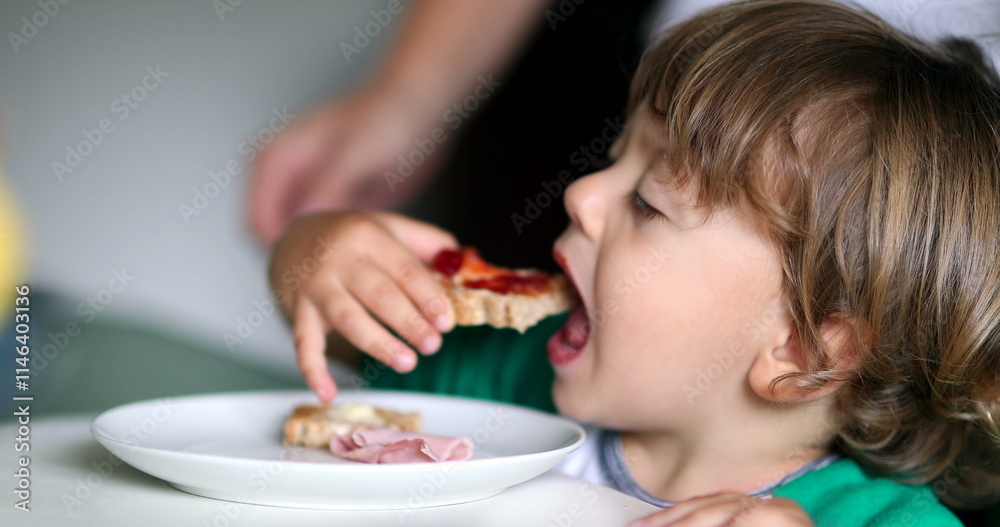 Toddler baby boy eating breakfast toast with jelly in the morning Toddler baby boy eating breakfast toast with jelly in the morning