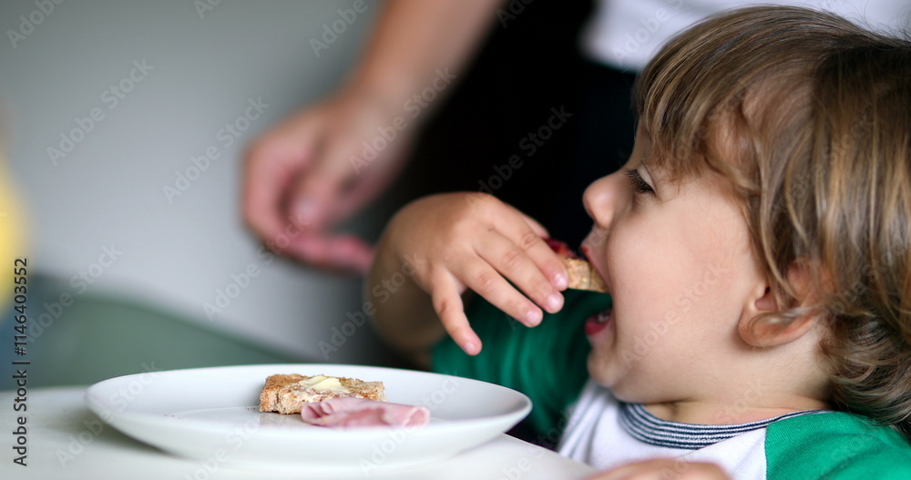 Toddler baby boy eating breakfast toast with jelly in the morning Toddler baby boy eating breakfast toast with jelly in the morning