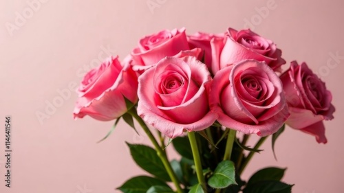 Wallpaper Mural Bouquet of pink roses on a plain pink background Torontodigital.ca