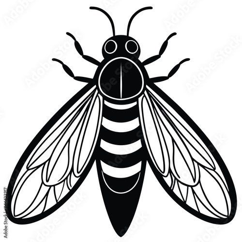 Firefly insect flat vector illustration on a white background