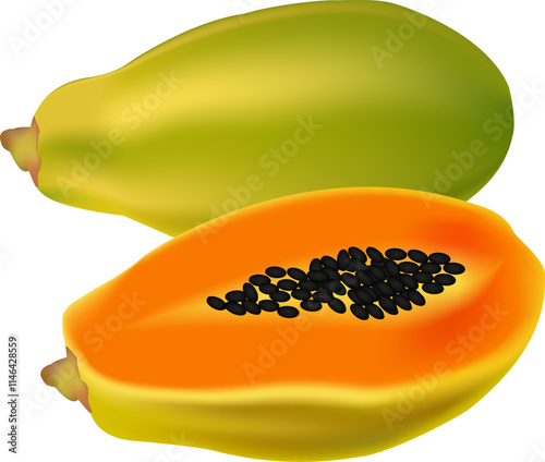 illustration of papaya vector design on a white background