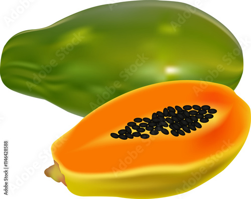 illustration of papaya vector design on a white background